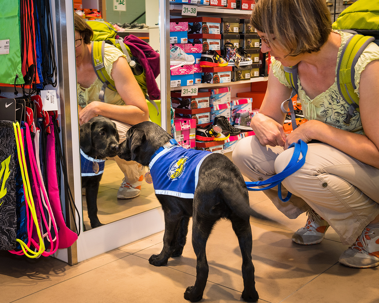 Blindenführhundeschule Allschwil